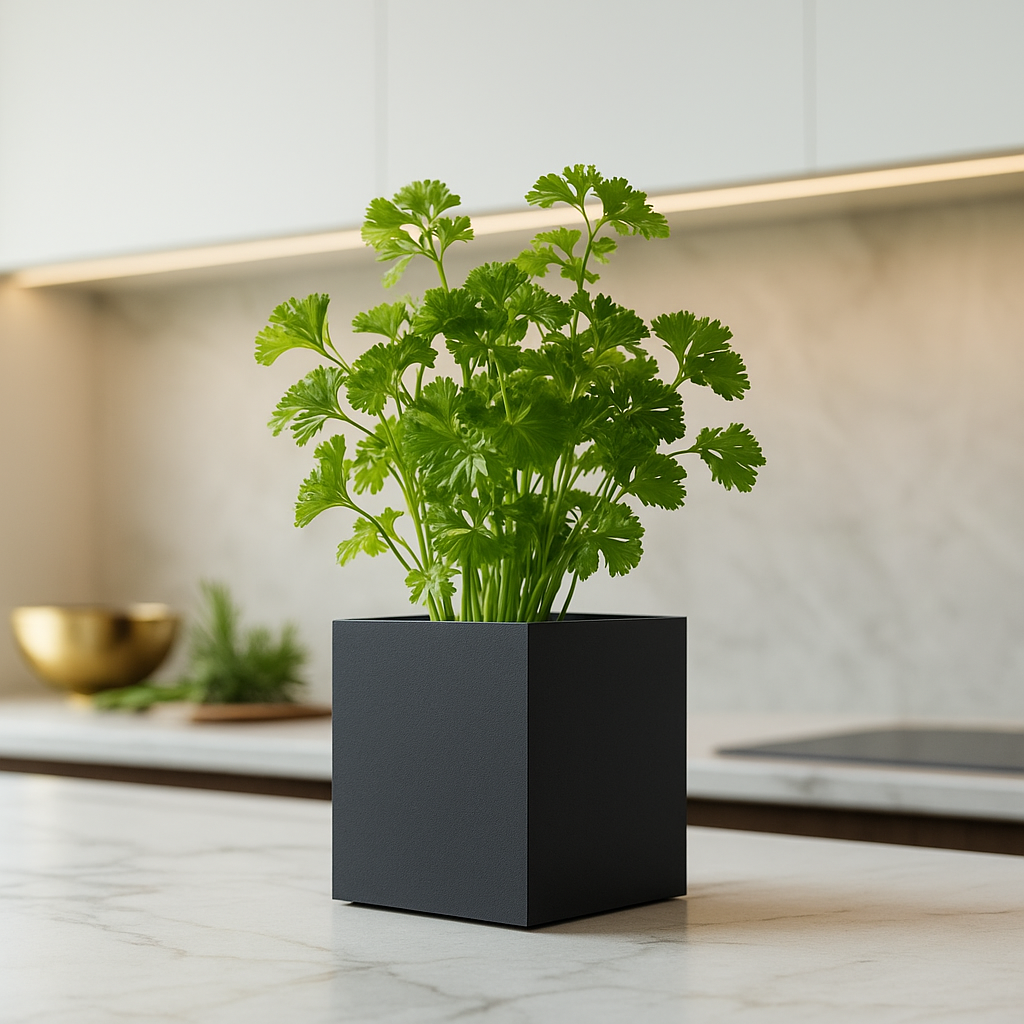 Metall Blumentopf Anthrazit, Moderner Pflanztopf, Minimalistischer Dekotopf Indoor Outdoor, Made in Germany